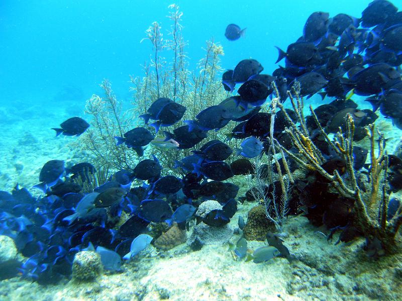 2011-09-06 11-28-36 Mary.JPG